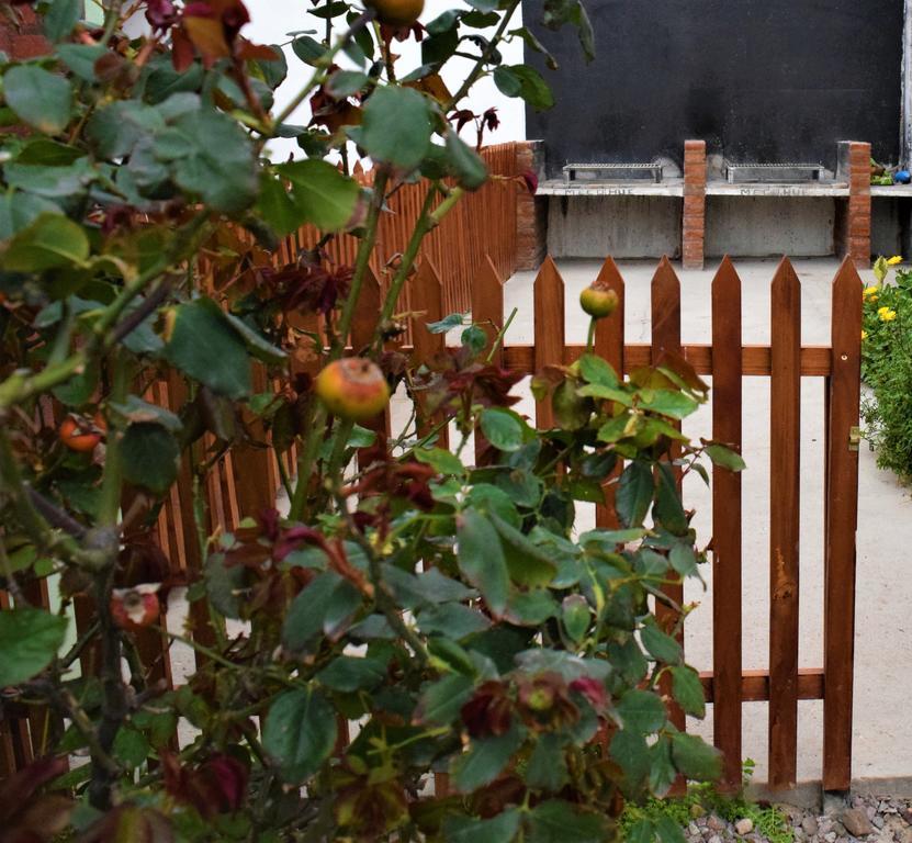 Posada Del Sol Πουέρτο Μαντρίν Εξωτερικό φωτογραφία